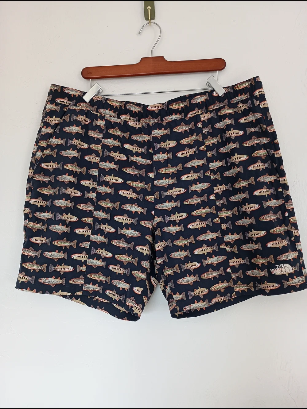 The North Face Class V Flash Dry Fish Print Water Mens Pull On Shorts